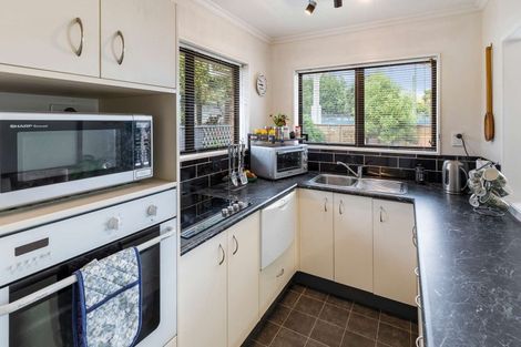 Photo of property in 56 Queen Street West, Levin, 5510