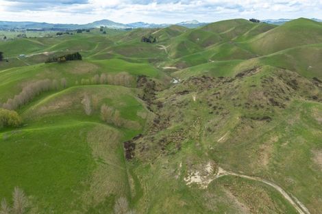 Photo of property in 209 Pourerere Road, Waipawa, 4271