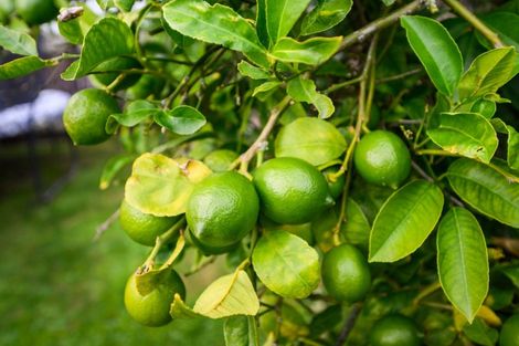 Photo of property in 56a Newton Place, Westbrook, Palmerston North, 4412