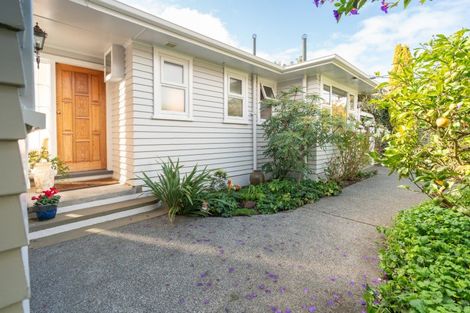 Photo of property in 17a Puriri Street, Miramar, Wellington, 6022