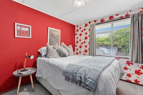 Photo of property in 19 Syndic Street, Cromwell, 9310