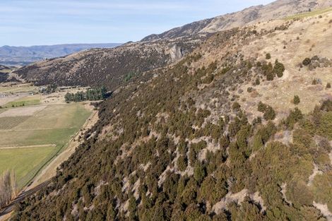 Photo of property in 132 Willowbank Road, Queensberry, Cromwell, 9383