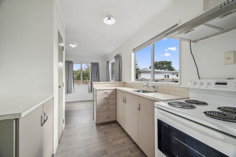 Photo of property in 53 Rotokawa Street, Taupo, 3330
