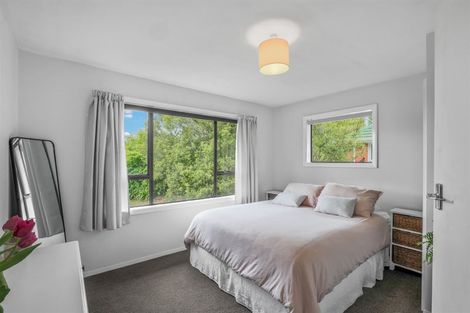 Photo of property in 296 Opawa Road, Hillsborough, Christchurch, 8022