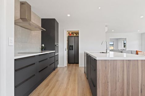 Photo of property in 6 Kestrel Street, Rolleston, 7615