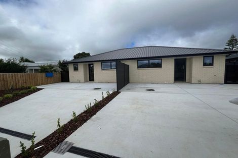 Photo of property in 136b Tiro Tiro Road, Levin, 5510