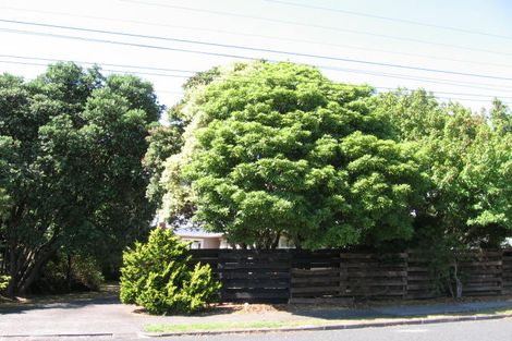 Photo of property in 41 Gilliam Street, New Lynn, Auckland, 0600