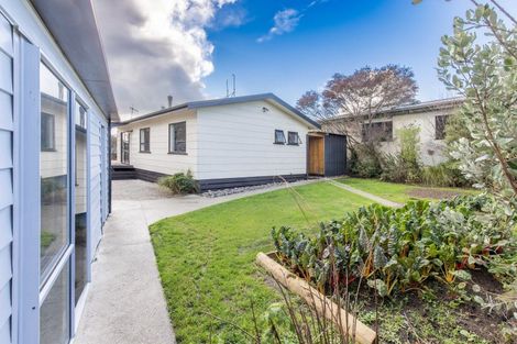 Photo of property in 1a Montgomery Street, Waipukurau, 4200