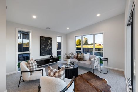 Photo of property in 20 Mangatainoka Lane, Awapuni, 4412