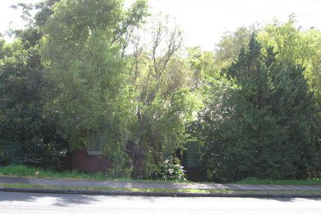 Photo of property in 45 Pomaria Road, Henderson, Auckland, 0610