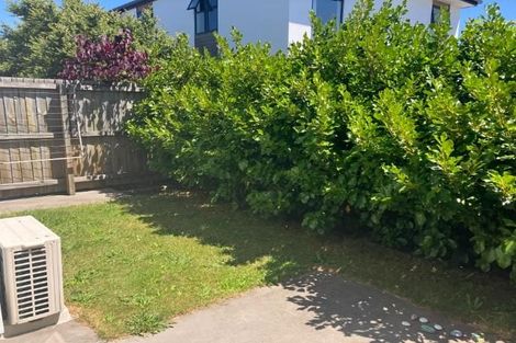 Photo of property in 17 Verlamio Lane, Edgeware, Christchurch, 8013