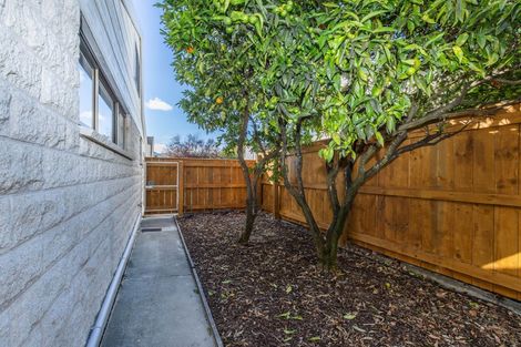 Photo of property in 24c Tasman Street, The Wood, Nelson, 7010