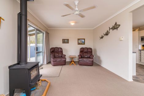 Photo of property in 17 Macaulay Place, Twizel, 7901