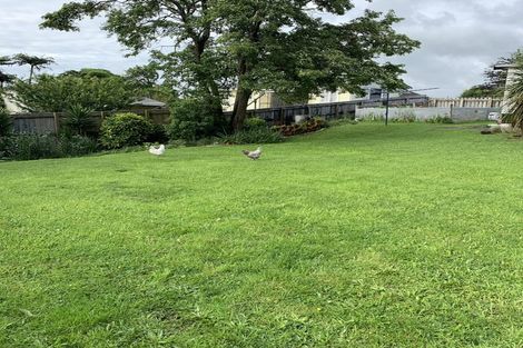 Photo of property in 106 Ariel Street, Stratford, 4332