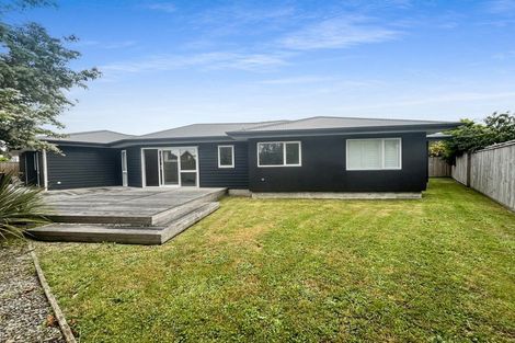 Photo of property in 68b Manson Street, Terrace End, Palmerston North, 4410