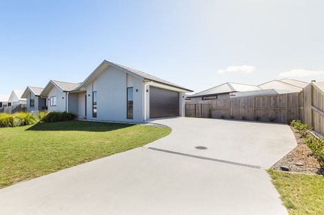 Photo of property in 15 Kereruu Street, Cambridge, 3434