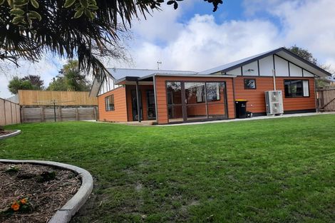 Photo of property in 67 Fraser Drive, Feilding, 4702