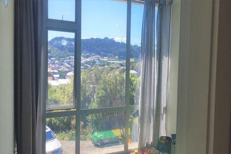 Photo of property in Mccallister Heights, 381u7 Adelaide Road, Newtown, Wellington, 6021