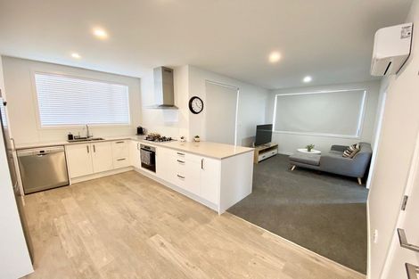 Photo of property in 38u2 Hinton Avenue, Forest Lake, Hamilton, 3200