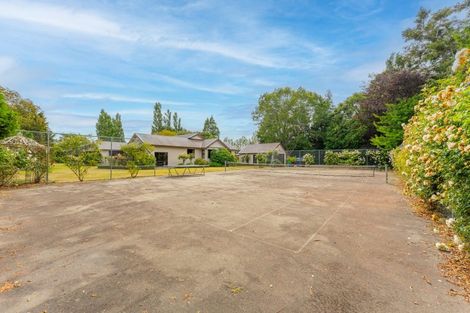 Photo of property in 768 Seadown Road, Seadown, Timaru, 7973