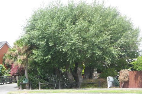 Photo of property in 14 Ketton Place, St Albans, Christchurch, 8052