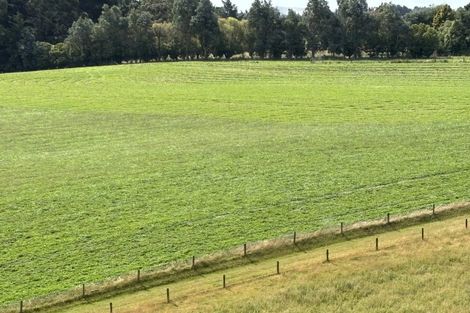 Photo of property in 174 Awamoa Road, Holmes Hill, Oamaru, 9492