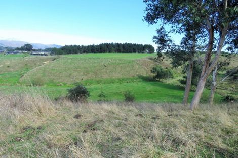 Photo of property in 91 Buckley Road, Shannon, Palmerston North, 4474