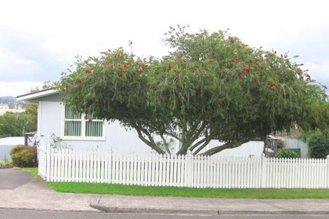 Photo of property in 9 Silver Birch Rise, Henderson, Auckland, 0612