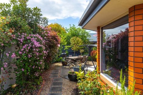 Photo of property in 12c Carvell Street, Blenheim, 7201