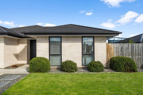Photo of property in 17 Olivia Street, Rolleston, 7615