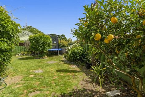 Photo of property in 169c Maungatapu Road, Maungatapu, Tauranga, 3112