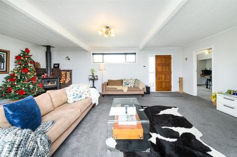 Photo of property in 58 Skerman Street, Marton, 4710