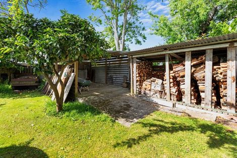 Photo of property in 21 Ngaparaoa Drive, Maketu, 3189
