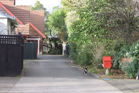 Photo of property in 468b College Street, Hokowhitu, Palmerston North, 4410