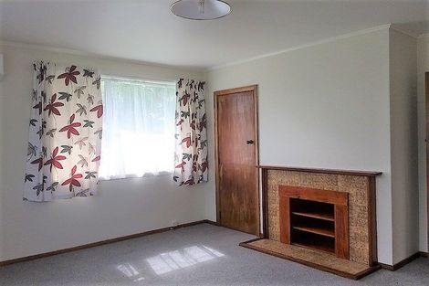 Photo of property in 9 Maire Street, Levin, 5510