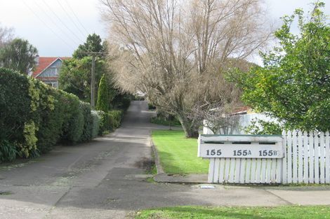 Photo of property in 155a Ruahine Street, Roslyn, Palmerston North, 4414