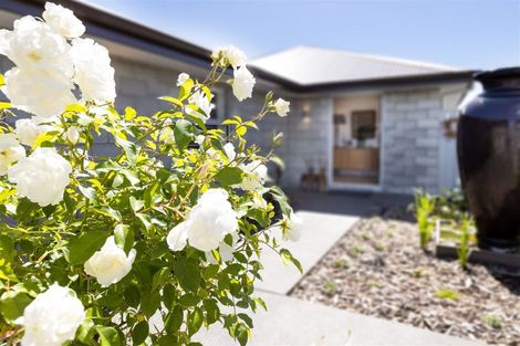 Photo of property in 24 Spencer Place, Springlands, 7201