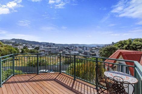 Photo of property in 53 Hankey Street, Mount Cook, Wellington, 6011