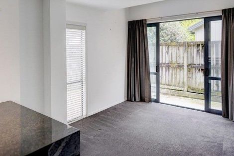 Photo of property in 189u7 Massey Street, Frankton, Hamilton, 3204