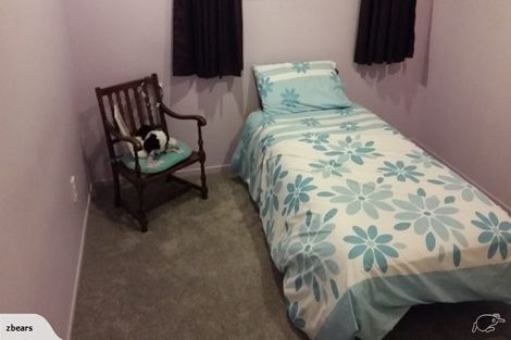Photo of property in 91r Bethlehem Road, Bethlehem, Tauranga, 3110