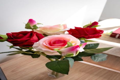 Photo of property in 61b Ruskin Street, Addington, Christchurch, 8024