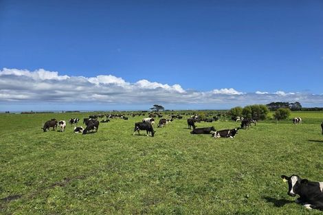 Photo of property in 189 Namu Road, Opunake, 4681