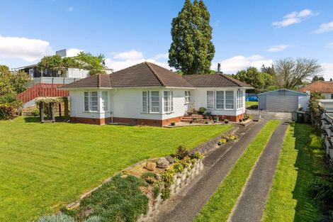 Photo of property in 6 Station Street, Tirau, 3410