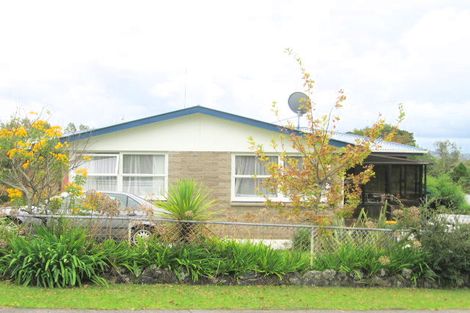 Photo of property in 11 Silver Birch Rise, Henderson, Auckland, 0612