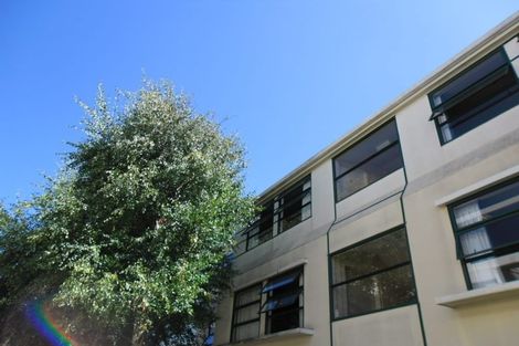Photo of property in Te Awhina Apartments, 29/22u Sussex Street, Mount Cook, Wellington, 6021