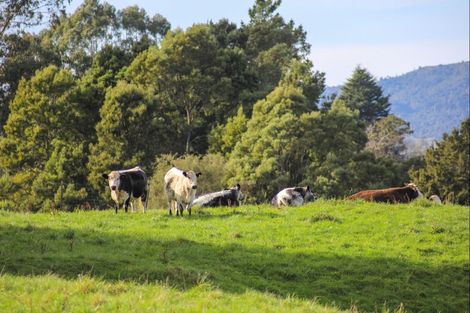 Photo of property in 47 Otapouri Road, Owhango, 3989