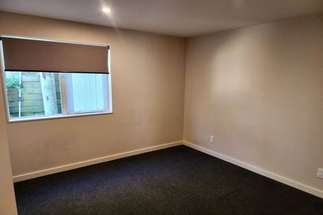 Photo of property in 14a Freeling Street, Island Bay, Wellington, 6023