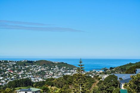 Photo of property in 16 Ingestre Street, Vogeltown, Wellington, 6021