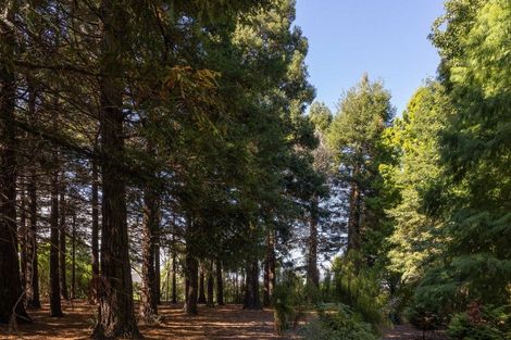 Photo of property in 209 Lyndhurst Road, Frimley, Hastings, 4120