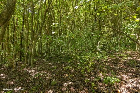 Photo of property in 161 Winara Avenue, Waikanae, 5036